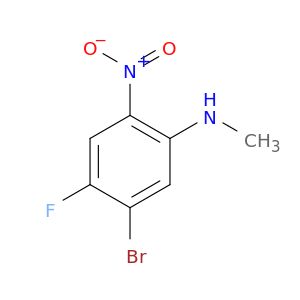 AE67325
