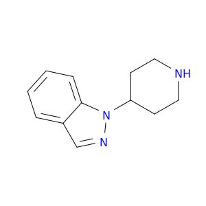 AE81877