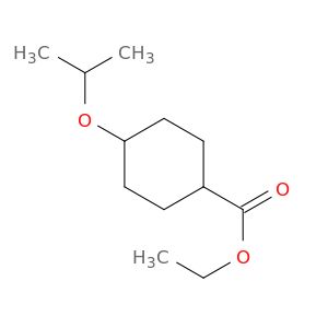 BM55245