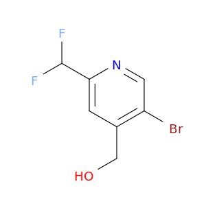 BM23251
