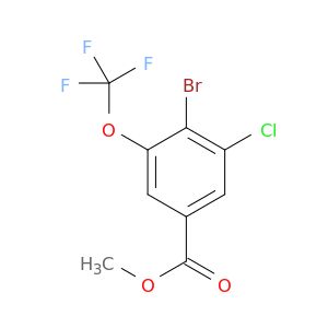 BA07493