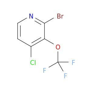 BH64965