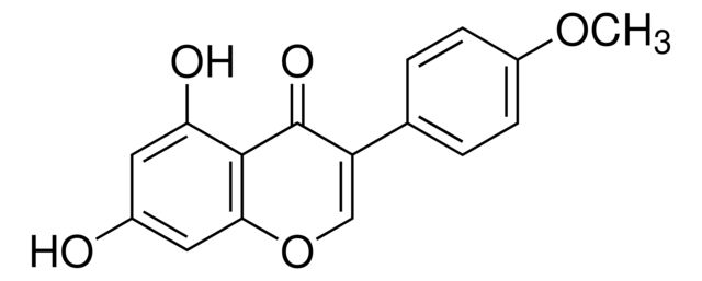 1071381