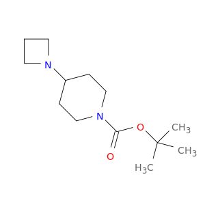 AE25444