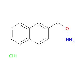 BM50556