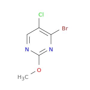 BL74570