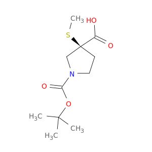 AY07649