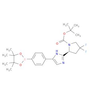 BM02020
