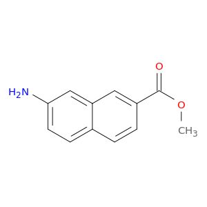 BM06355