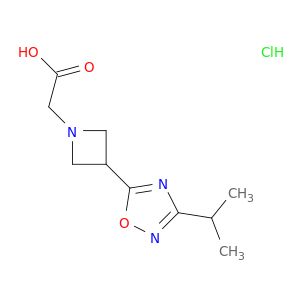 BD73304