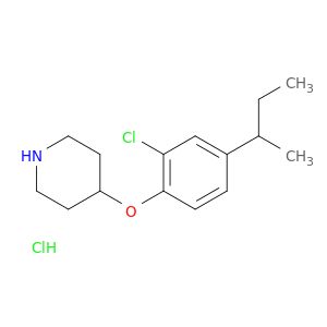 BD93891