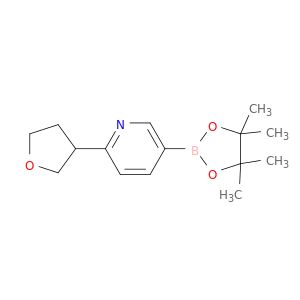 BO44061