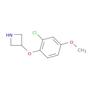 AK45559