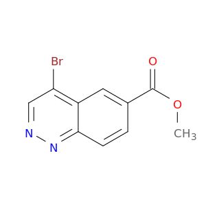 BL12558