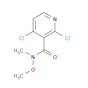 AI81919