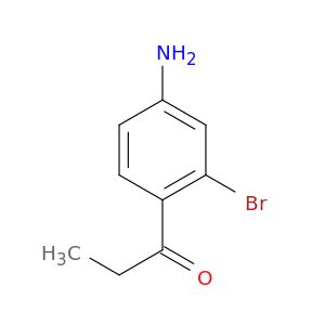 BM21394