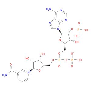 AI51873
