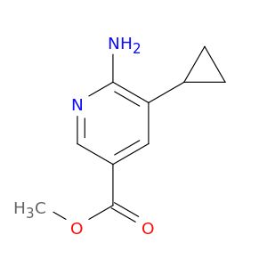 BM55344