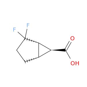 BH63981