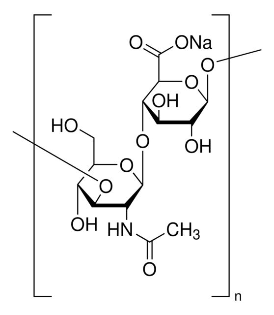 53747