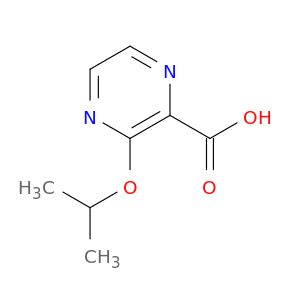 BM24355