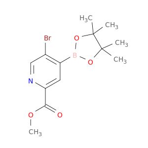 BZ54187