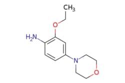 50-219-2812