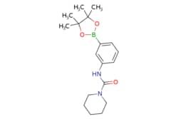 50-219-3123