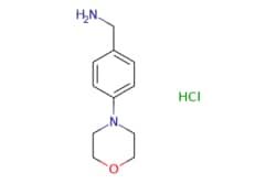 50-244-1667