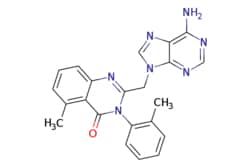 50-244-6854