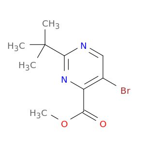 AI55873