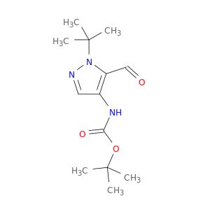 AY02454
