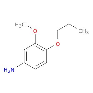 AW36496
