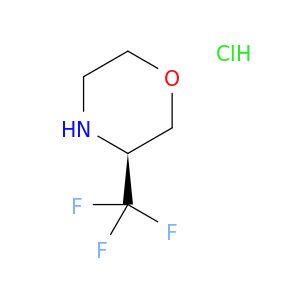 AY05669