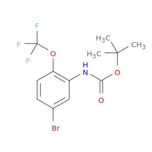 BM95532