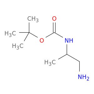 AE81904