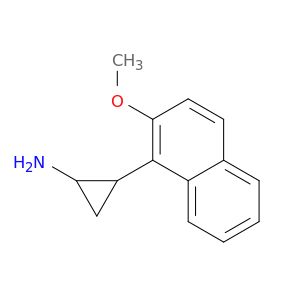 BM17904