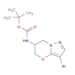 BM07651
