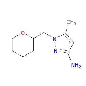 BM55562