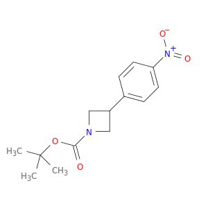 AY16298