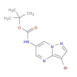 BA08231