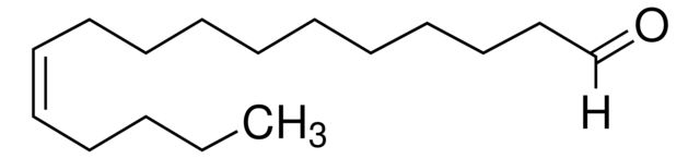 249084