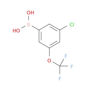 AF01554