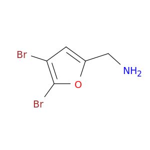 BJ81921