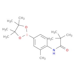 AY21204