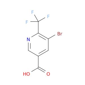 BL55341