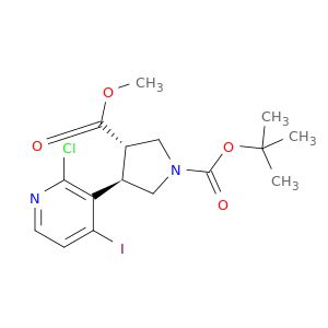 AE43981
