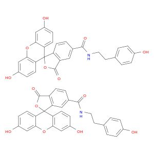 BA93636
