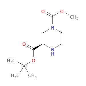 BM55527