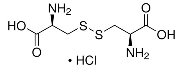 57579